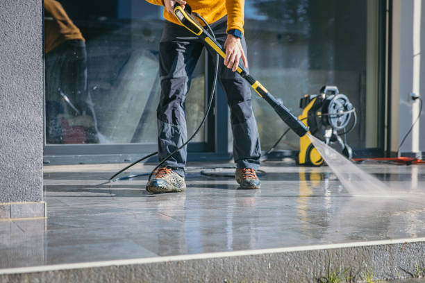 Animal Enclosure Cleaning in Bonham, TX